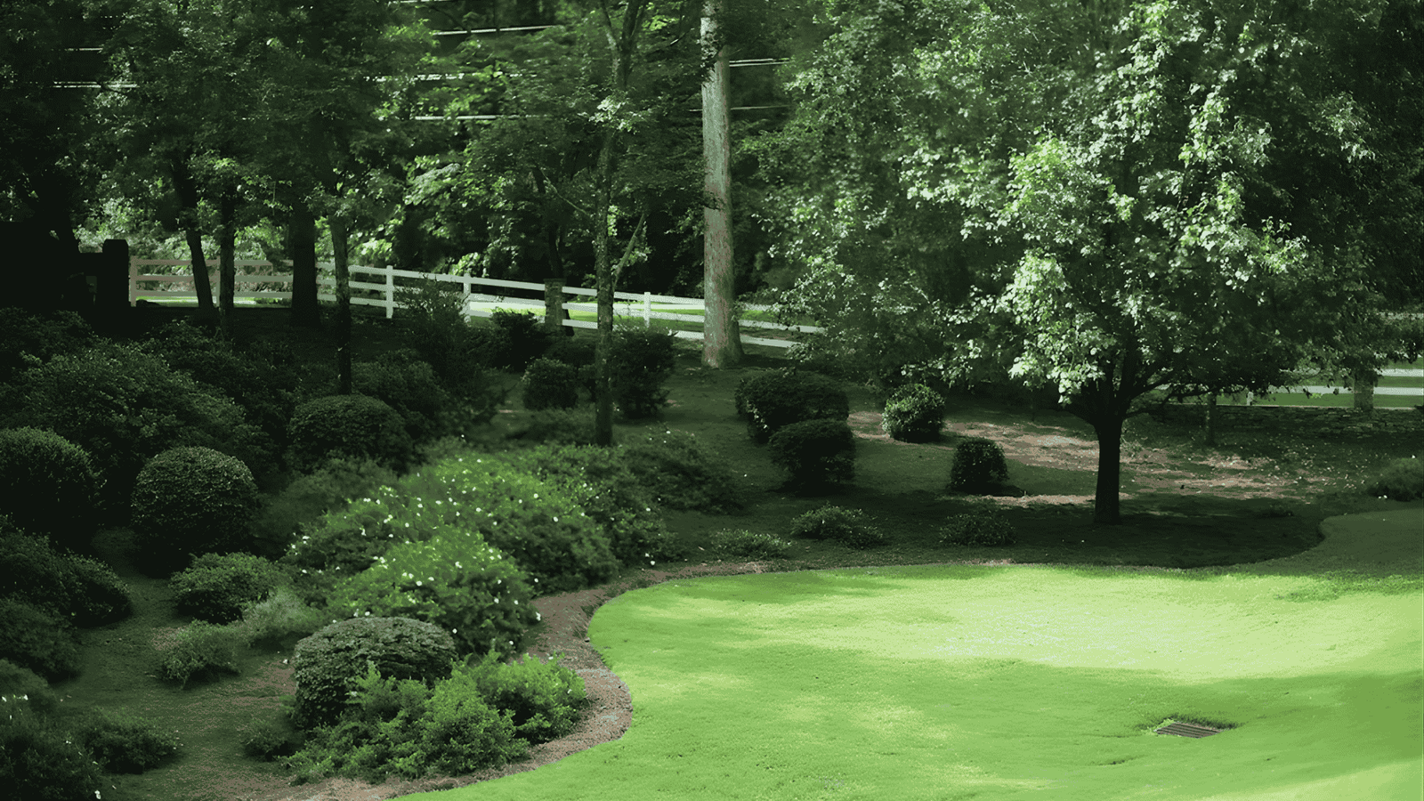 Beautiful landscaped garden with trimmed shrubs, trees, and green lawn in residential yard