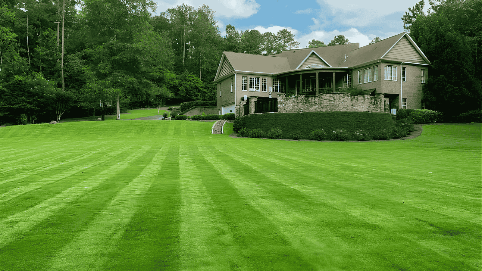 Freshly cut residential lawn with professional mowing lines maintained by lawn care company