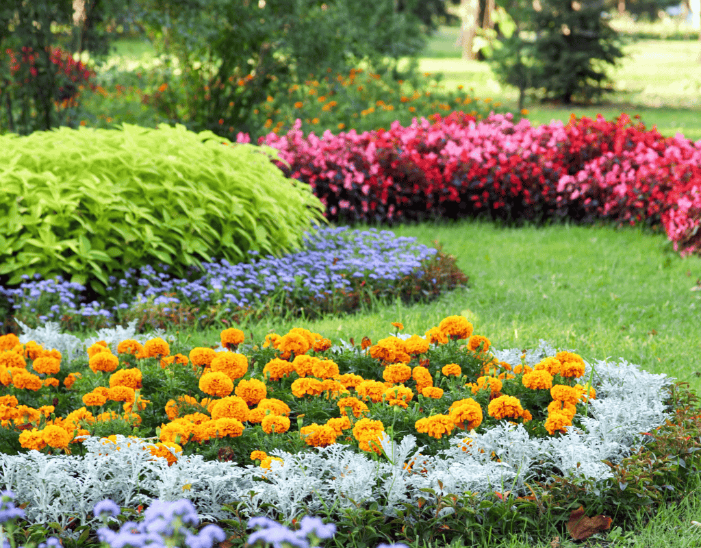 Colorful residential landscape garden with flowers and shrubs designed by landscaping professionals in Middle Georgia