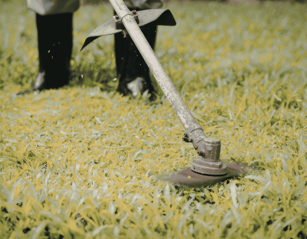 Professional lawn trimming service maintaining residential grass with landscaping equipment