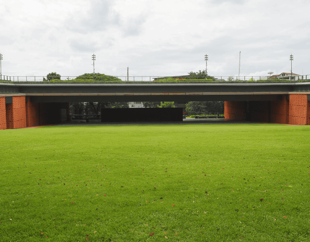 Large healthy green lawn showing professional turf care and grass maintenance